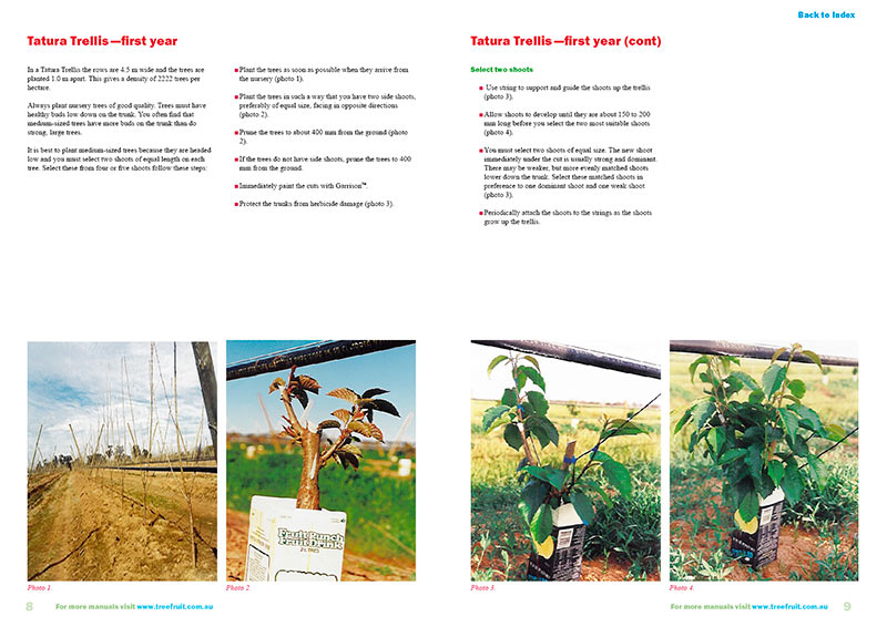 Orchard manual to grow cherries on high density systems