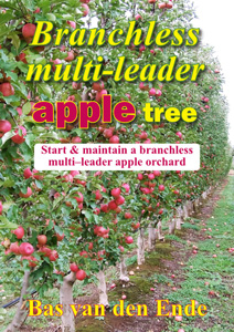 Apple Branchless multi-leader (buy)