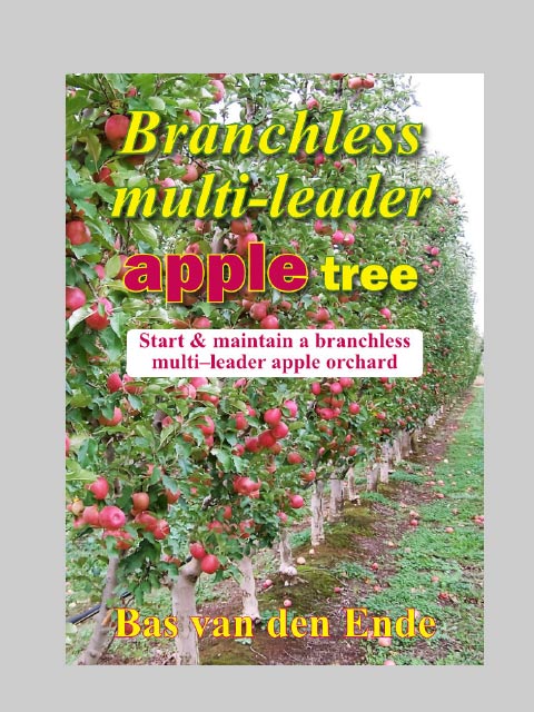 Apple Branchless multi-leader (buy)
