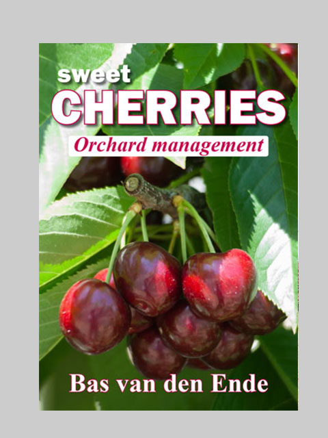 Cherries Management (buy)