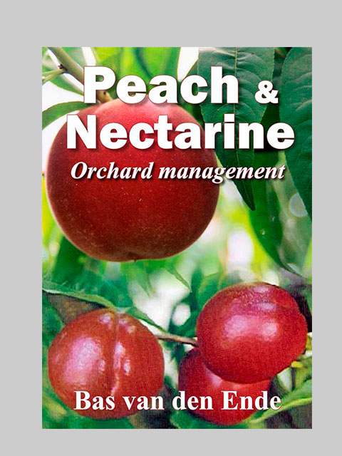 Peach-Nectarine Management (buy)