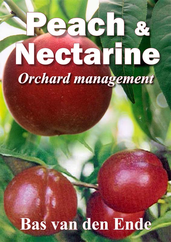 PeachNectarine orchardMngt 07 2021