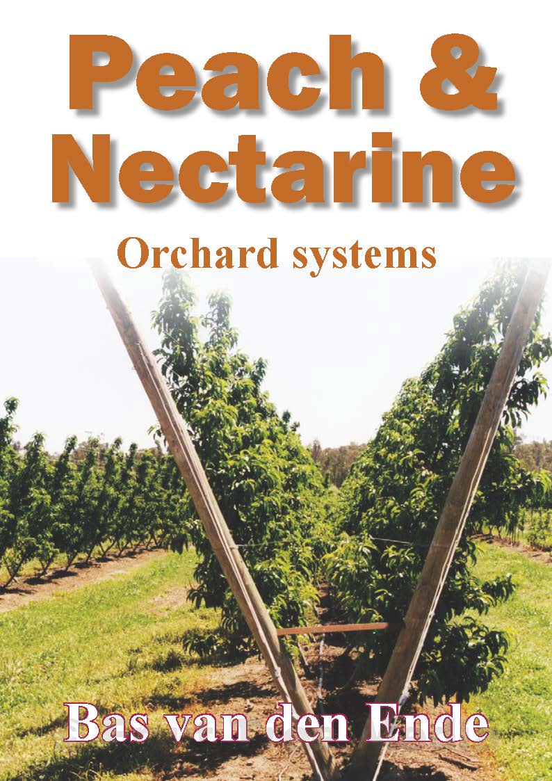 Peach nectarine systems