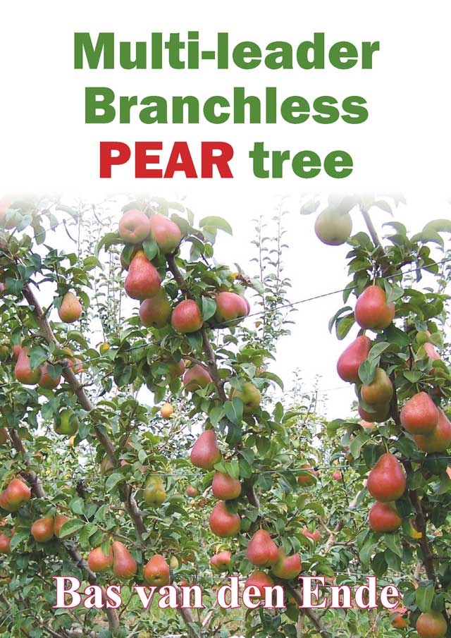 Pear Branchless Multi leader