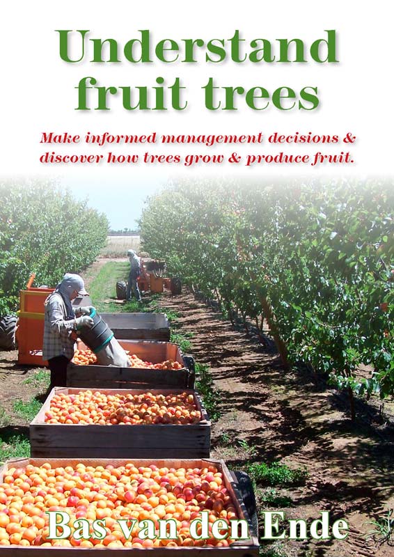 Understand fruit trees cover